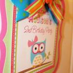 Girly Owl 10" Birthday Door Sign
